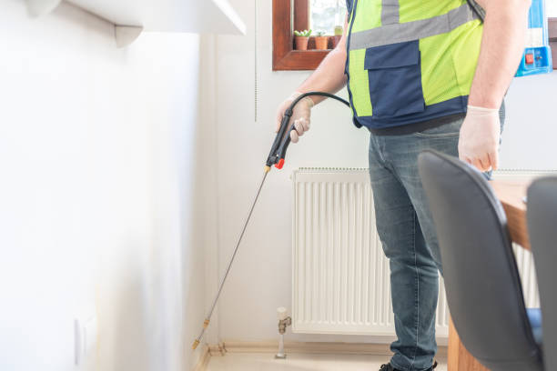 Professional Pest Control in Remsen, IA