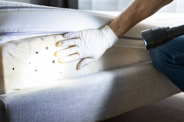 Pest Control Cost in Remsen, IA