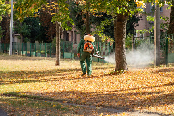Best Affordable Pest Control Services  in Remsen, IA