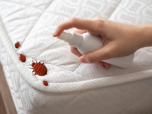 Best Commercial Pest Control Services  in Remsen, IA